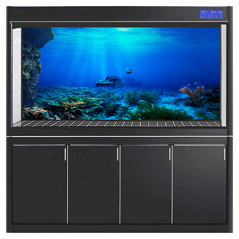 Aquarium Fish Of The World - Akwarium Tło Dekoracyjne Malarstwo Rośliny HD