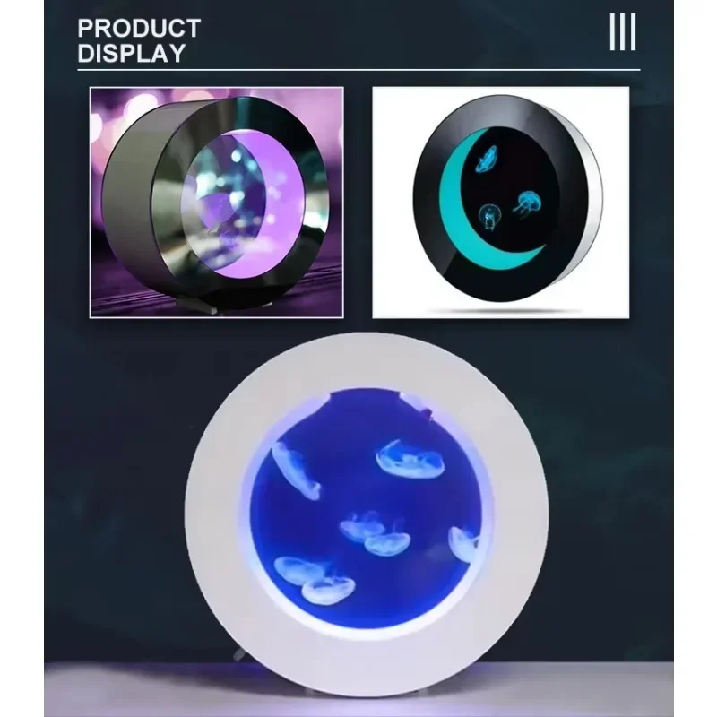All Fish In Aquarium - Złoty Sprzedawca Akwarium na Meduzy w