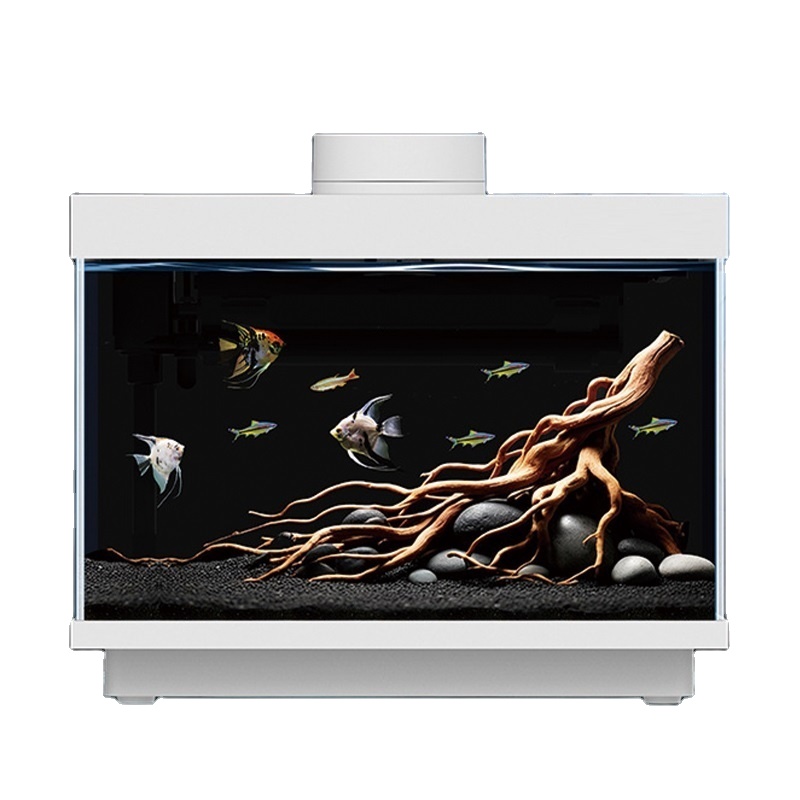 All Fish In Aquarium - Wielofunkcyjny, uniwersalny akwarium biurkowe 5W ze