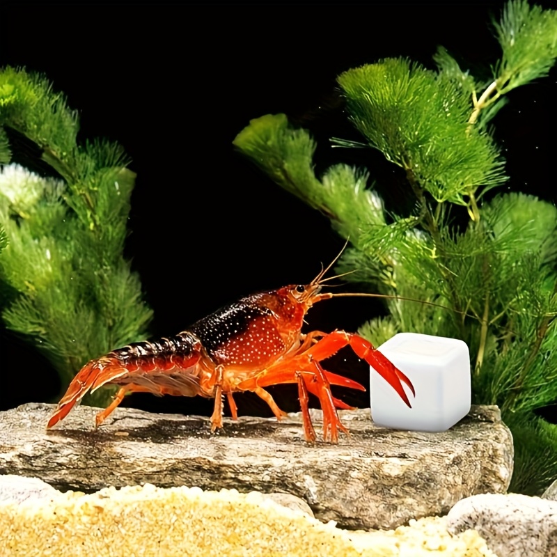 Aquarium Fish Lego - 6 szt. Bloków wapnia do akwarium,