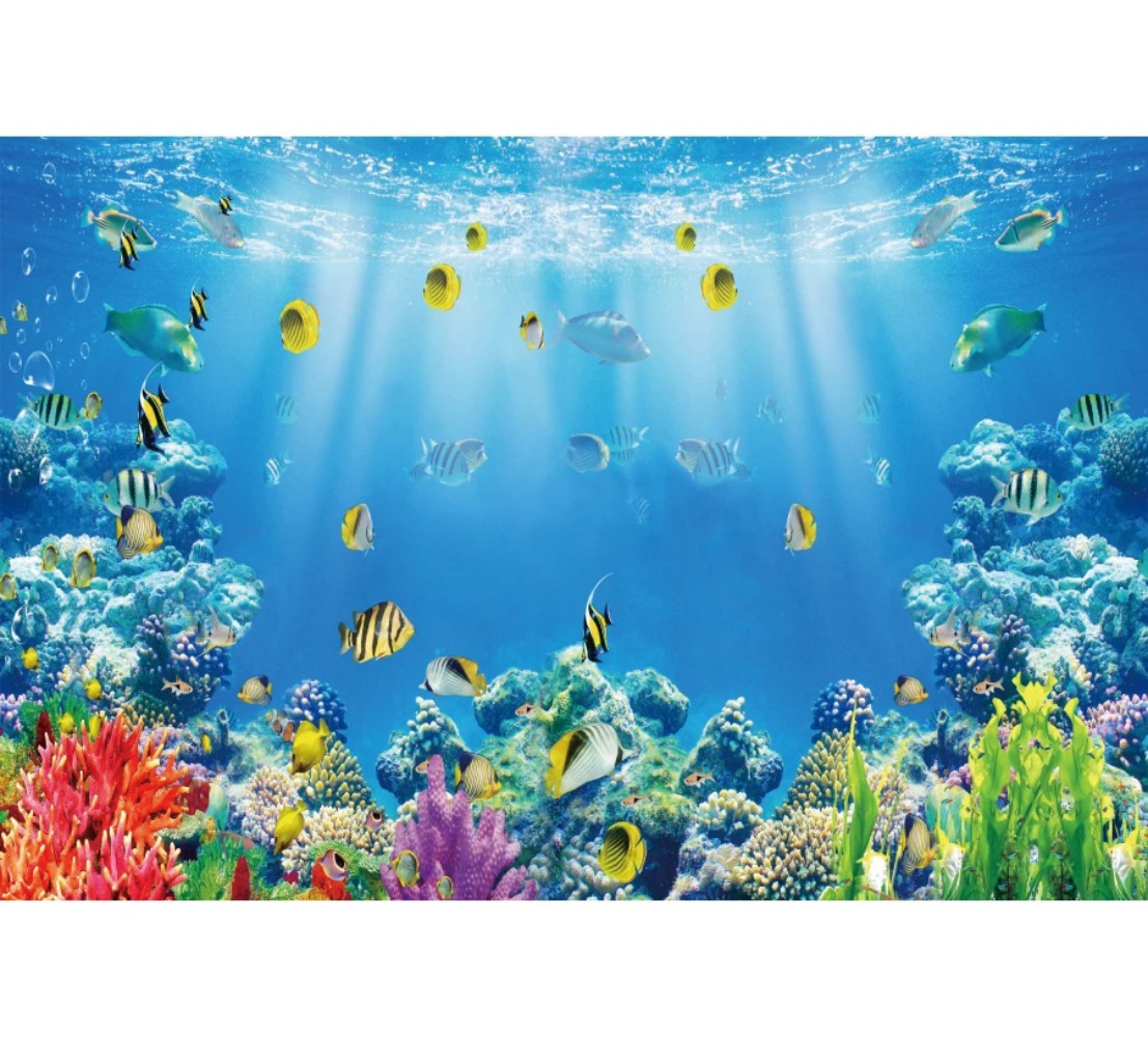 Tło fotograficzne z motywem po – Aquarium Fish Of The World recenzja i cena