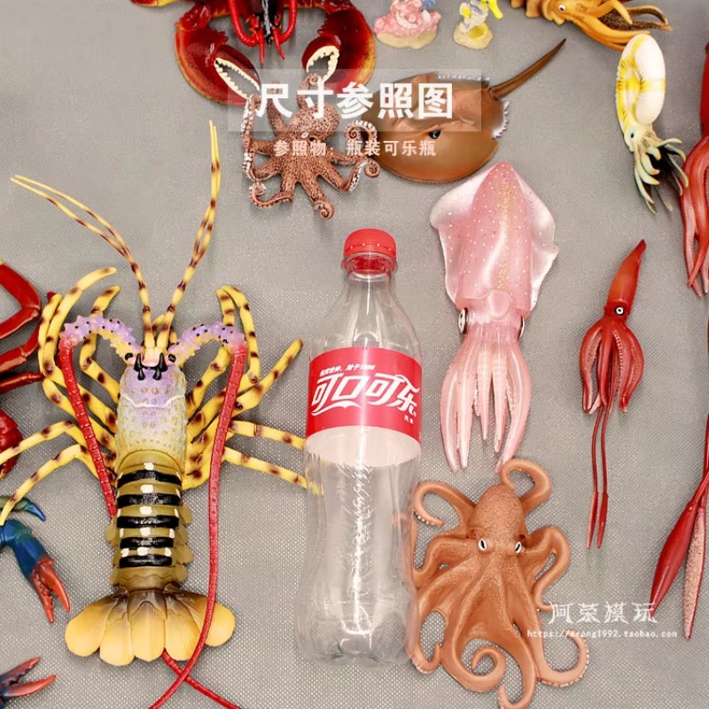 Model świata morskiego Mini ry – Aquarium Fish Of The World recenzja i cena