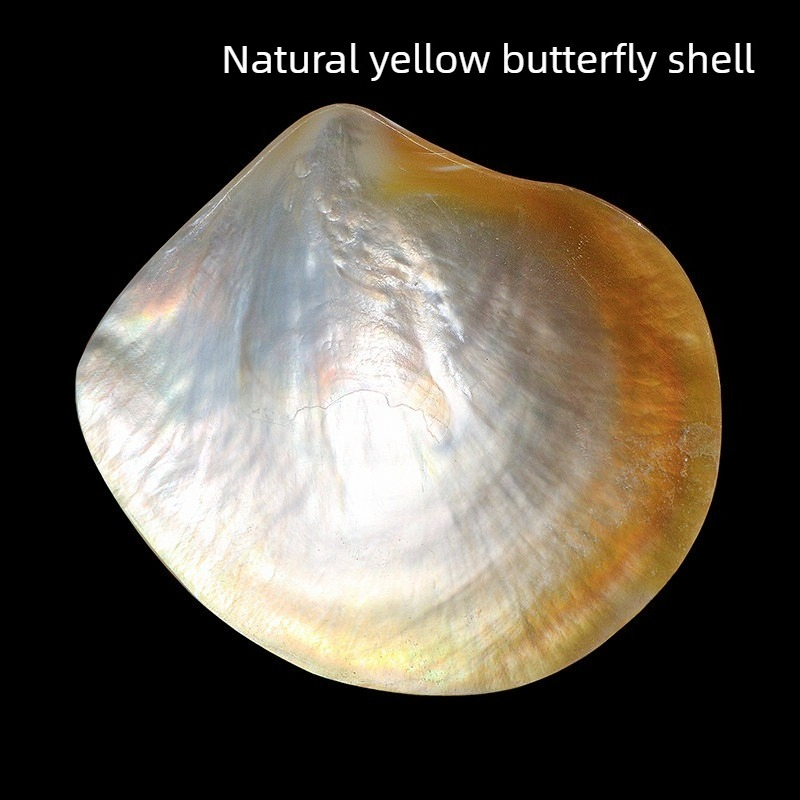 Naturalna Żółta Muszla Motylko – Aquarium Fish Yellow recenzja i cena
