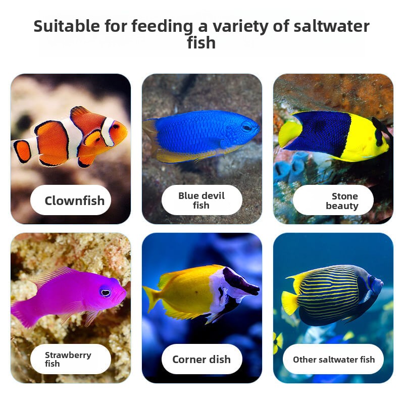 Karma dla ryb klaunów i tang D – All Fish In Aquarium recenzja i cena