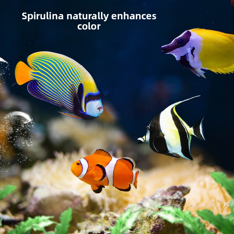 Karma dla ryb klaunów i tang D – All Fish In Aquarium recenzja i cena