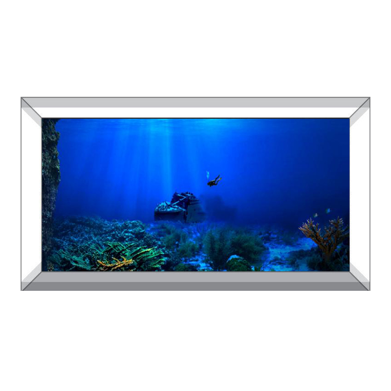 Akwarium Tło Dekoracyjne Malar – Aquarium Fish Of The World recenzja i cena