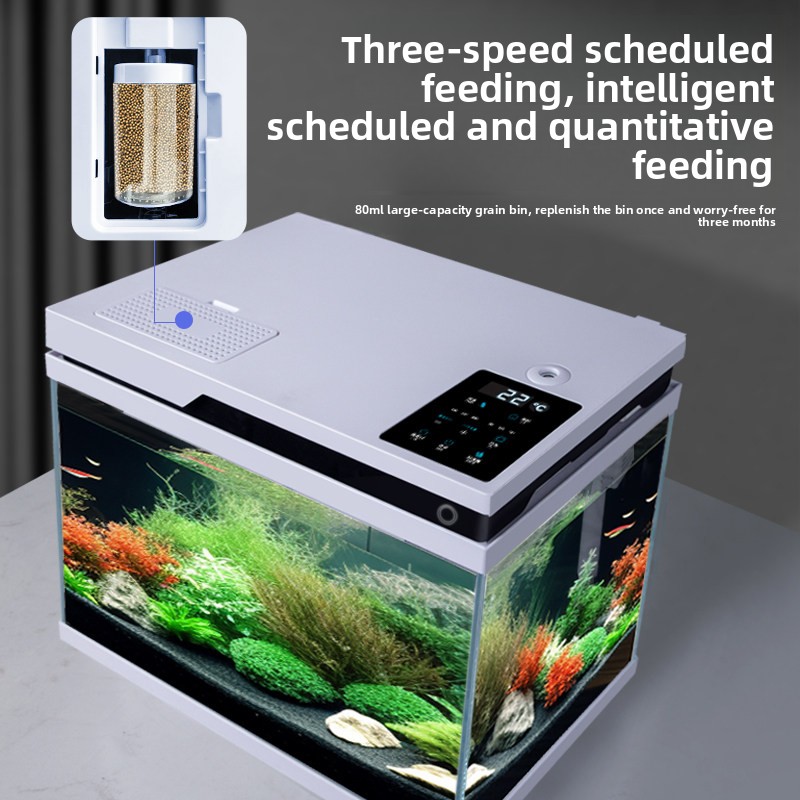 Przezroczyste szklane akwarium – All Fish In Aquarium recenzja i cena