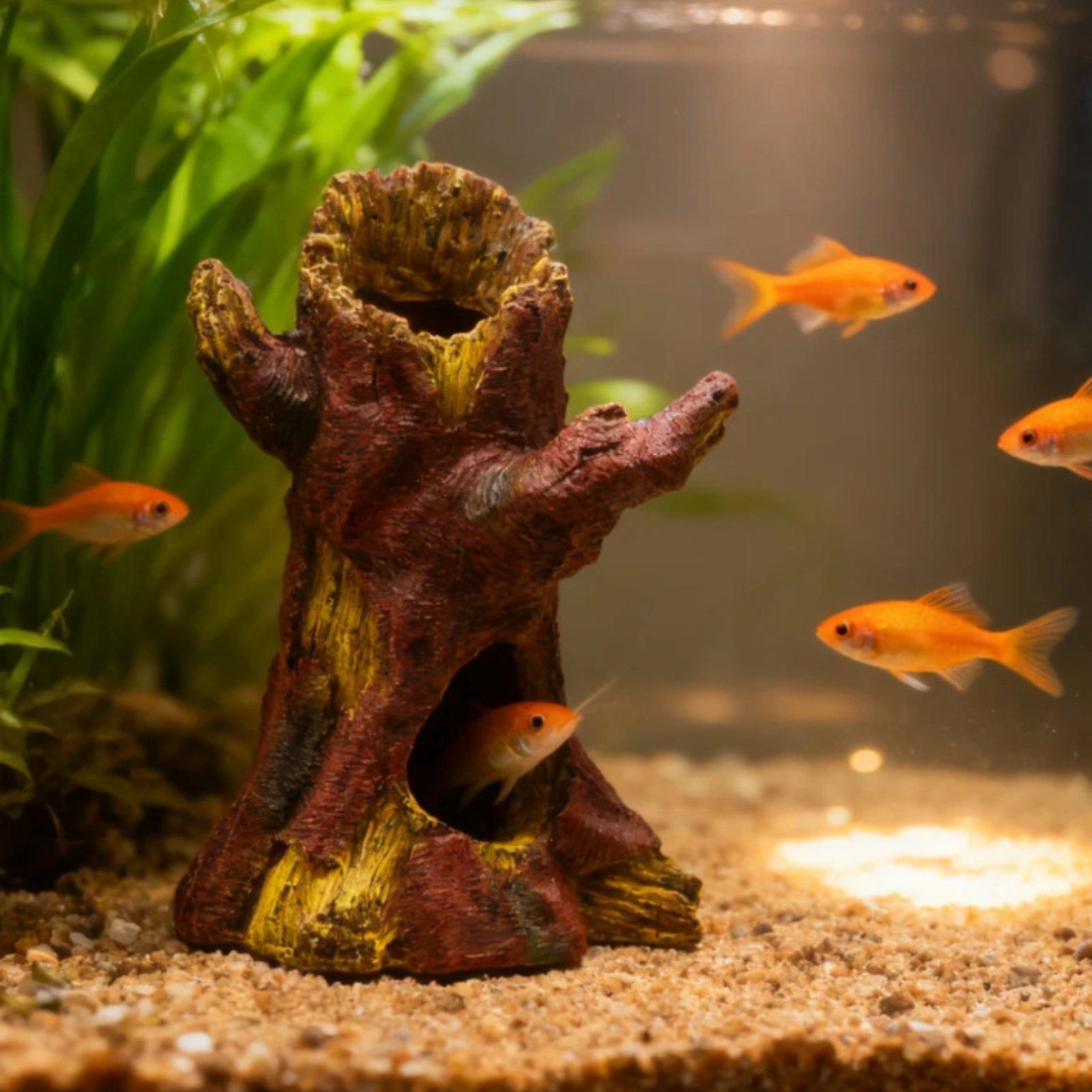 Dekoracja do akwarium, element – Aquarium Fish In recenzja i cena