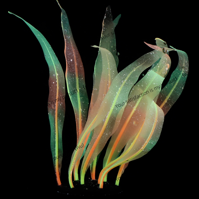 Symulowana dekoracja z rośliny – Aquarium Fish Of The World recenzja i cena
