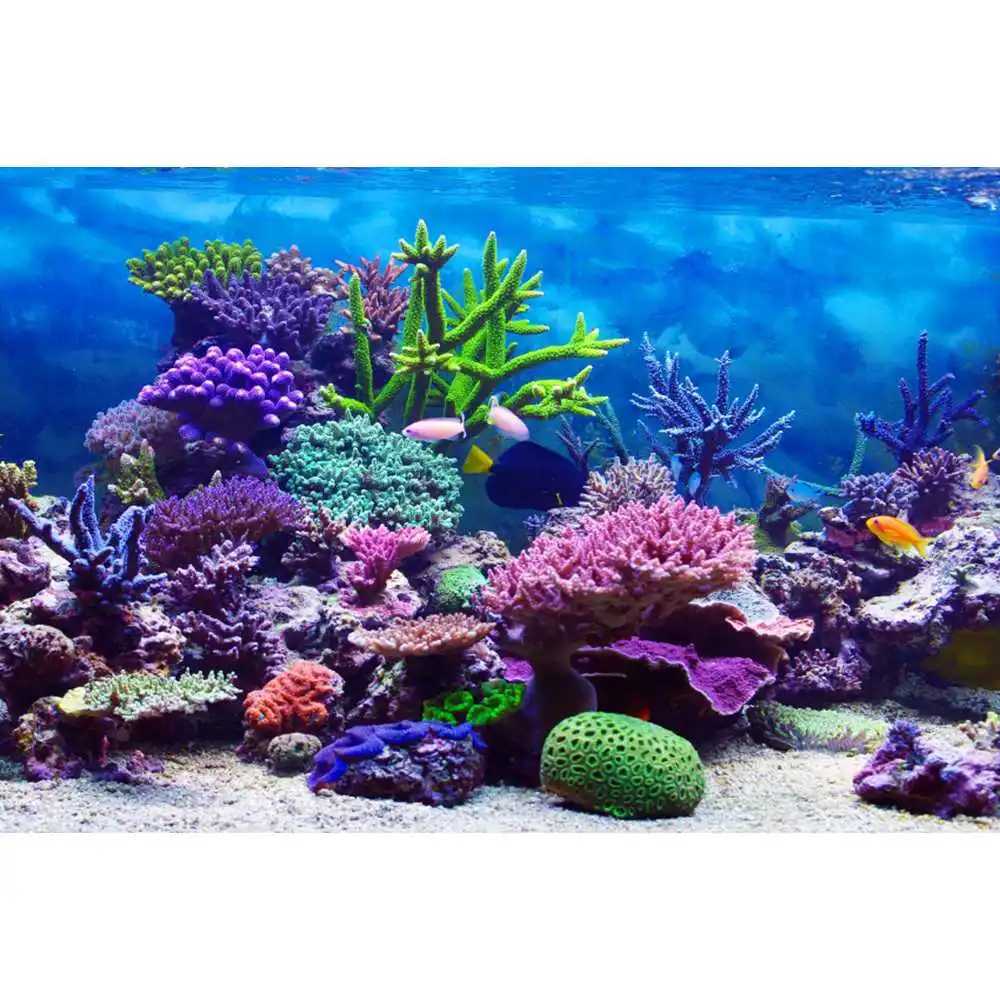 Podwodny Świat Dno Morskie Tło – Aquarium Fish Of The World recenzja i cena