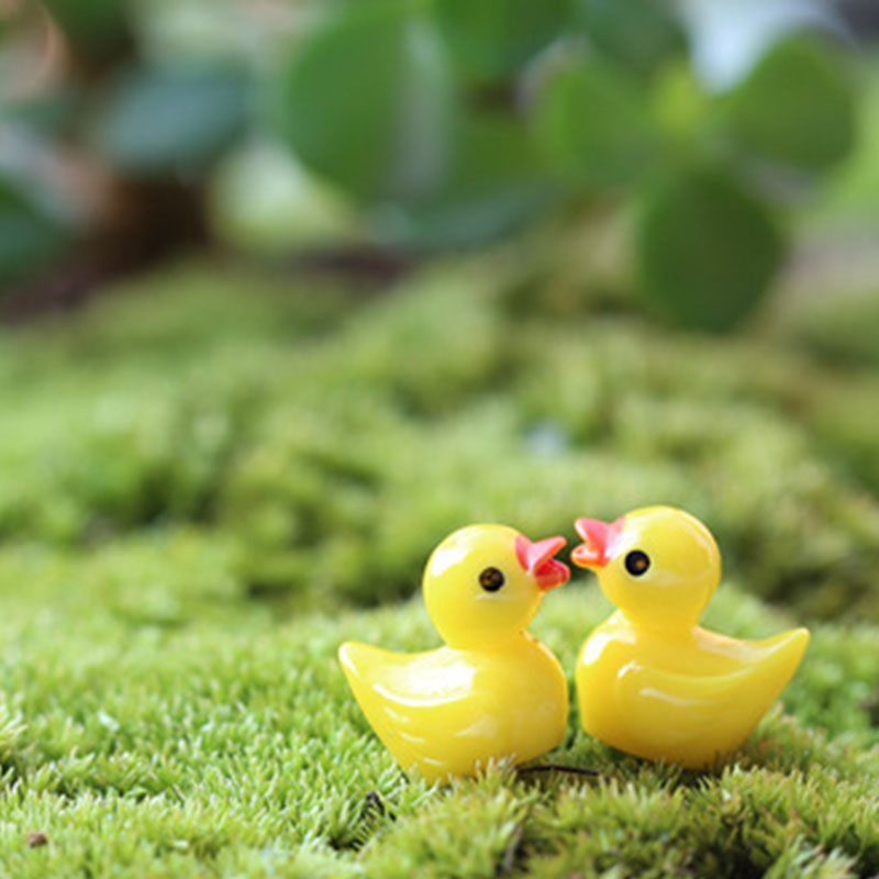 Urocza Mini Żółta Kaczuszka Oz – Aquarium Fish Yellow recenzja i cena