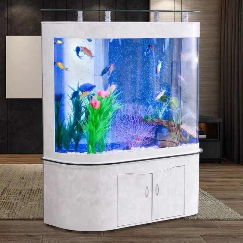 Akwarium morskie na zamówienie – Aquarium Fish In recenzja i cena