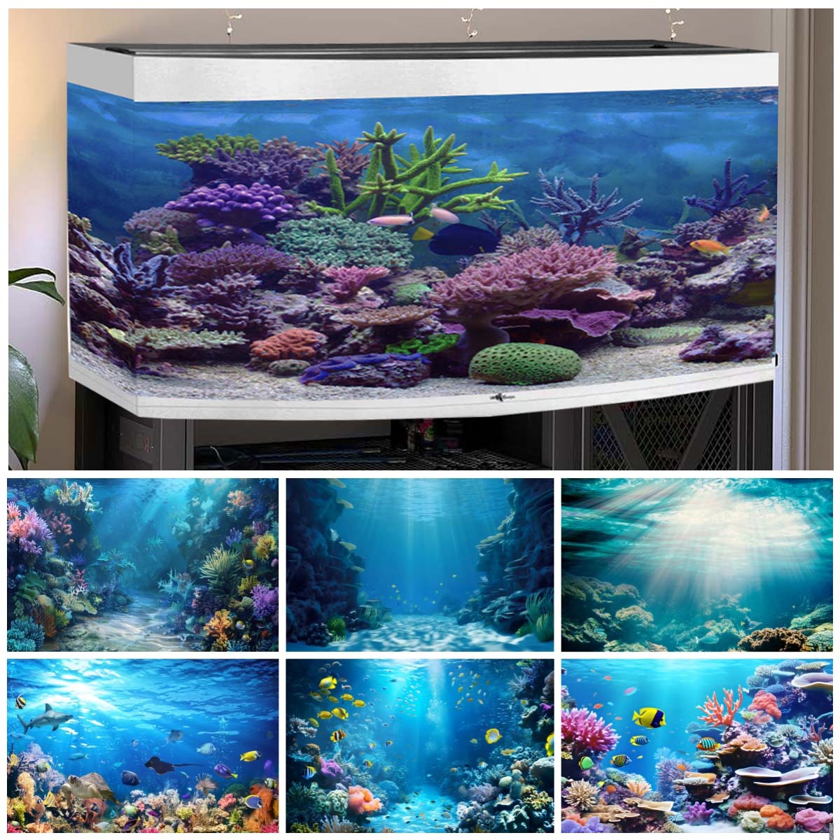 Tła podwodne do zdjęć, ocean,  – Aquarium Fish Of The World recenzja i cena