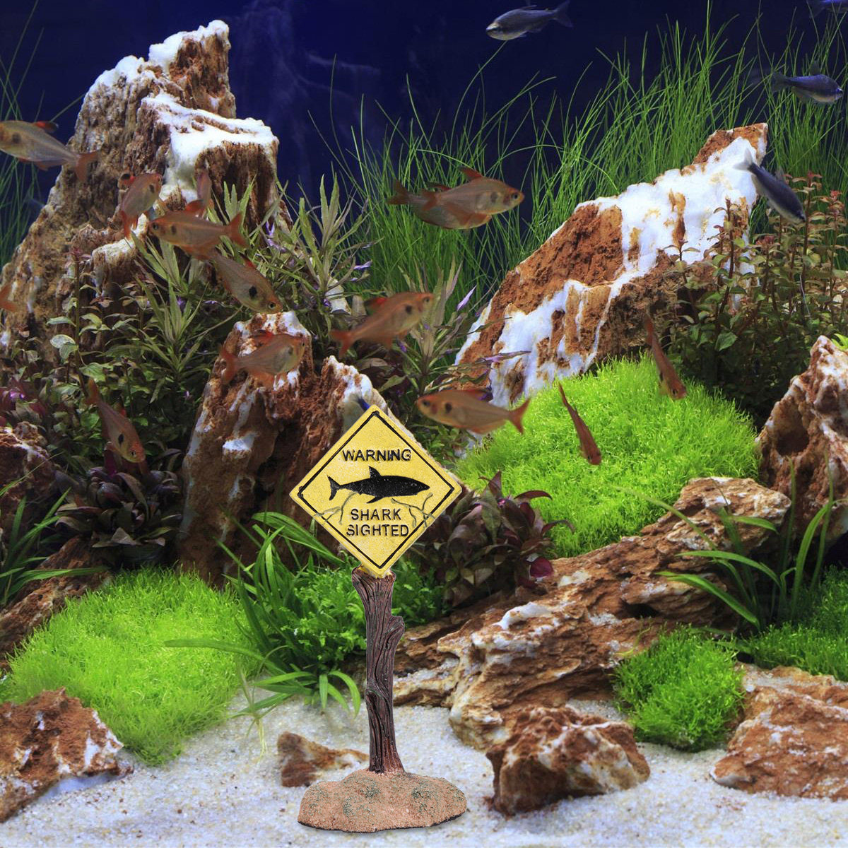 Kreskówkowy znak ostrzegawczy  – Aquarium Fish Yellow recenzja i cena