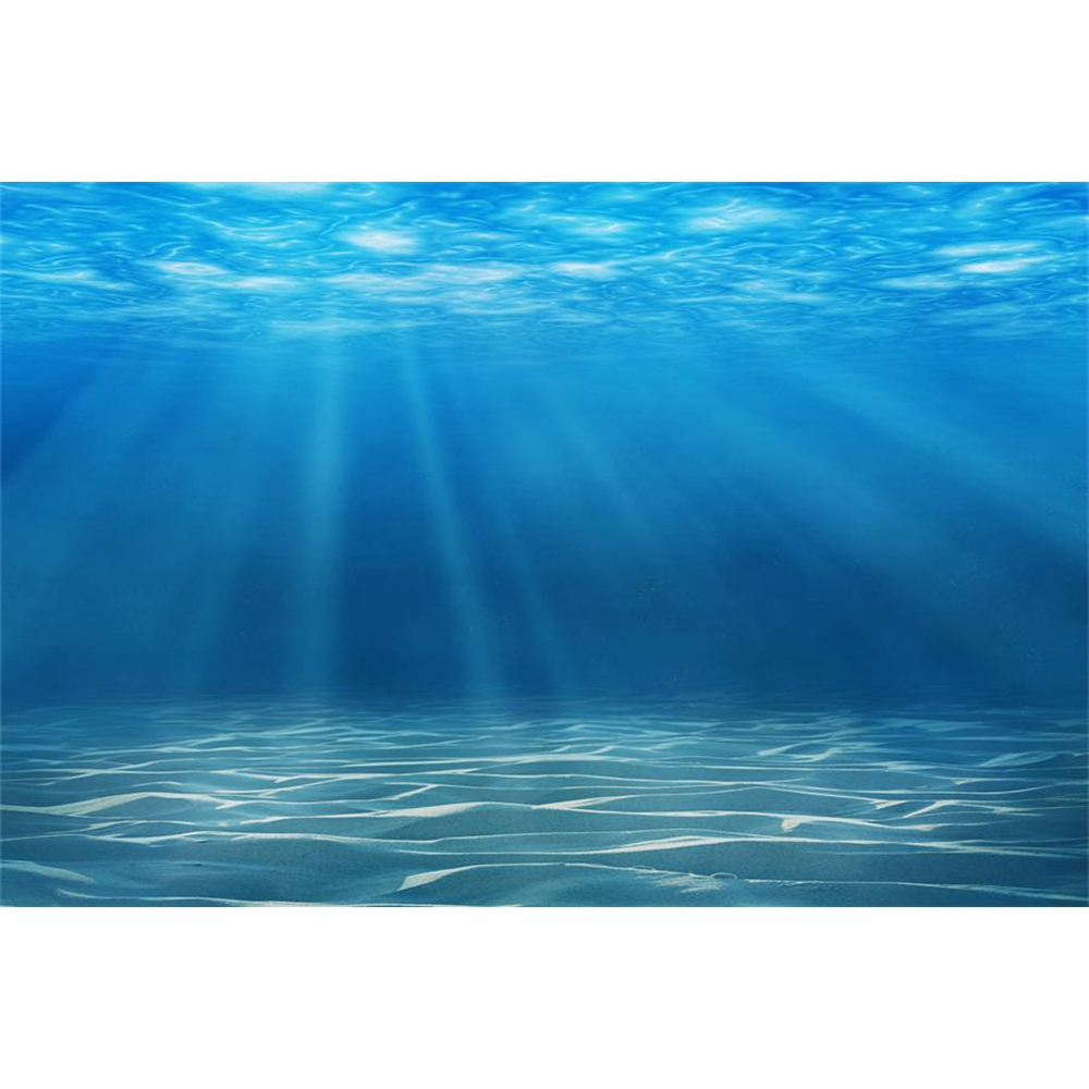 Podwodny świat Dno morskie Tło – Aquarium Fish Of The World recenzja i cena
