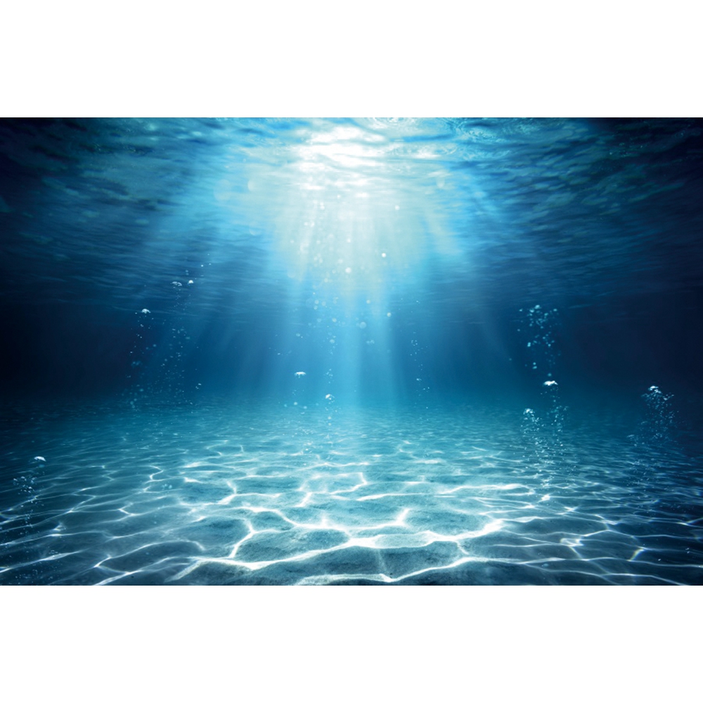 Podwodny świat Dno morskie Tło – Aquarium Fish Of The World recenzja i cena