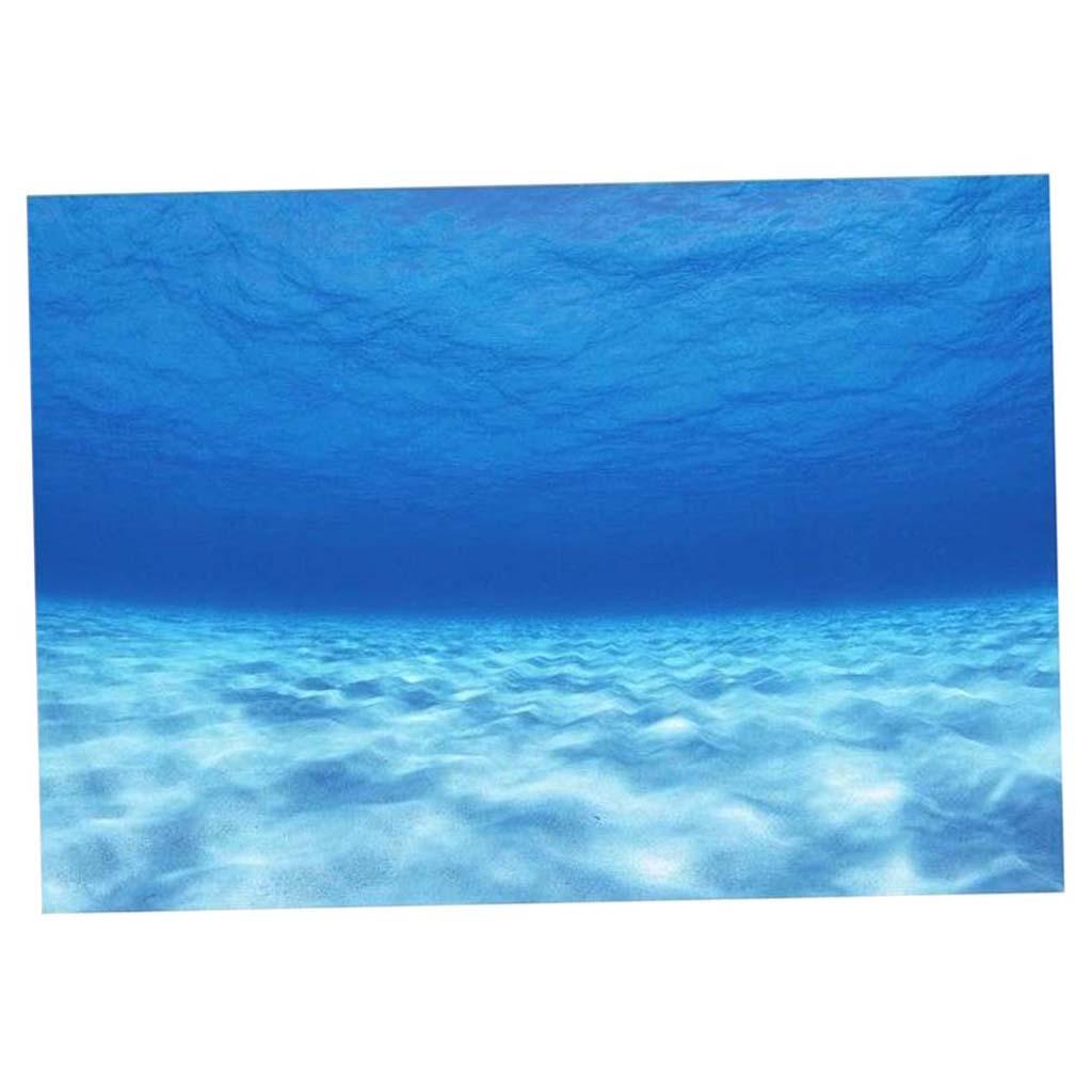Plakat dekoracyjny na ścianę a – Aquarium Fish Of The World recenzja i cena