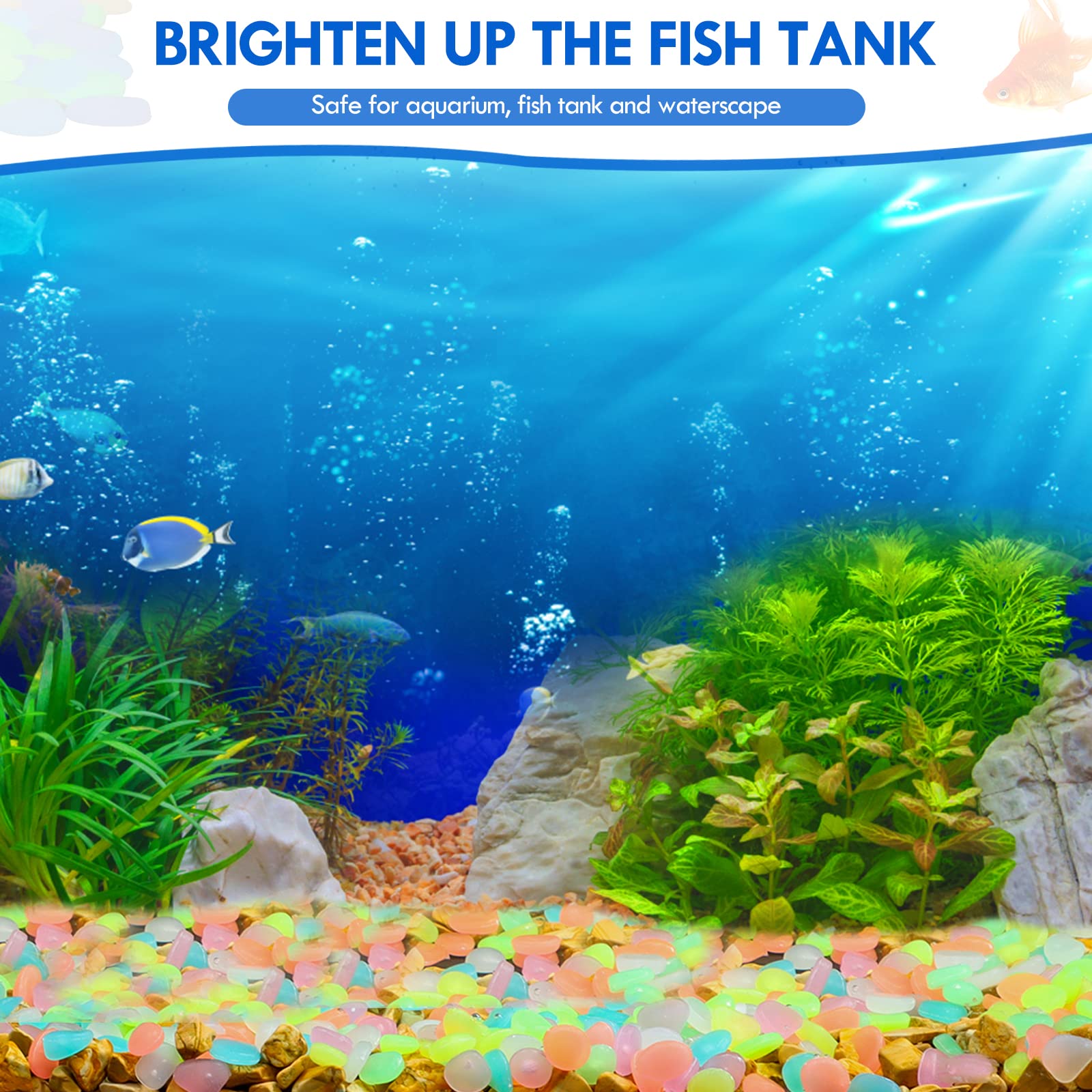 100 sztuk świecących w ciemnoś – Aquarium Fish Glow In The Dark recenzja i cena
