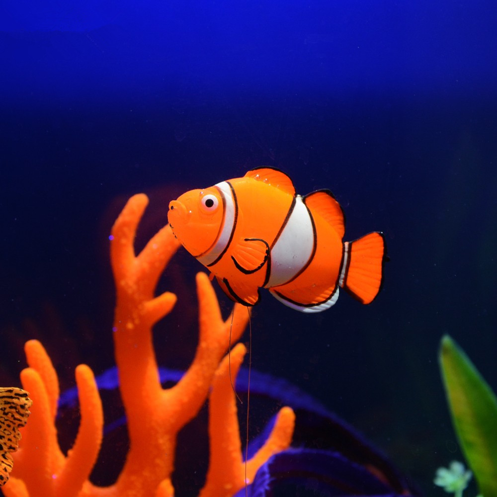 Świecąca w ciemności silikonow – Aquarium Fish Glow In The Dark recenzja i cena